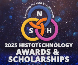 Awards and Scholarships